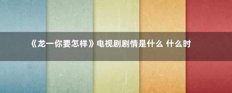 《龙一你要怎样》电视剧剧情是什么 什么时候播出